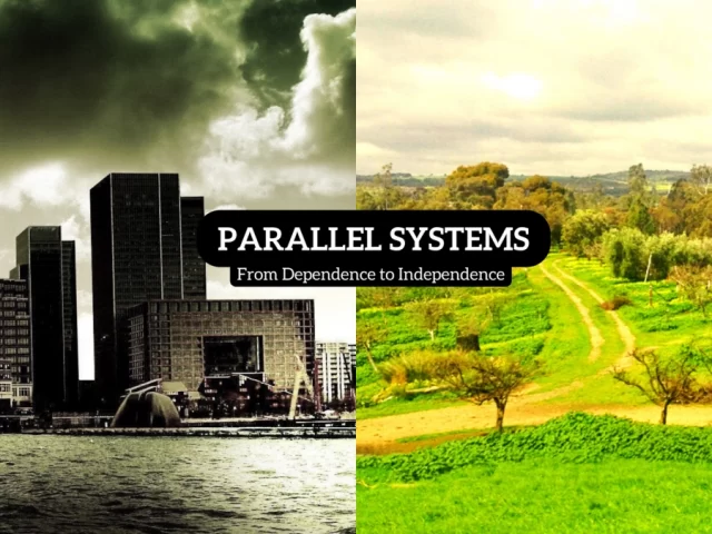 Parallel Mike: Weathering the Storm (e.g. Great Reset, Financial Collapse, Digital Tyranny)